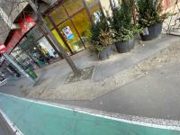 Imagine atasata: IMG_7485.jpg
