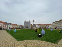 Imagine atasata: IMG_8045.jpg
