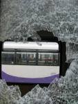Imagine atasata: IMG_7797.JPG