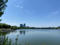 Imagine atasata: IMG_8729.jpg