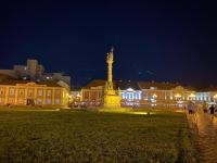 Imagine atasata: IMG_8828.jpg