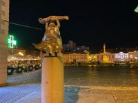 Imagine atasata: IMG_8841.jpg