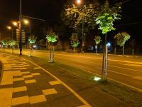 Imagine atasata: IMG_8862.jpg