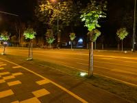 Imagine atasata: IMG_8865.jpg