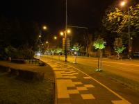 Imagine atasata: IMG_8866.jpg