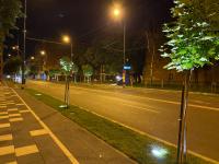 Imagine atasata: IMG_8869.jpg