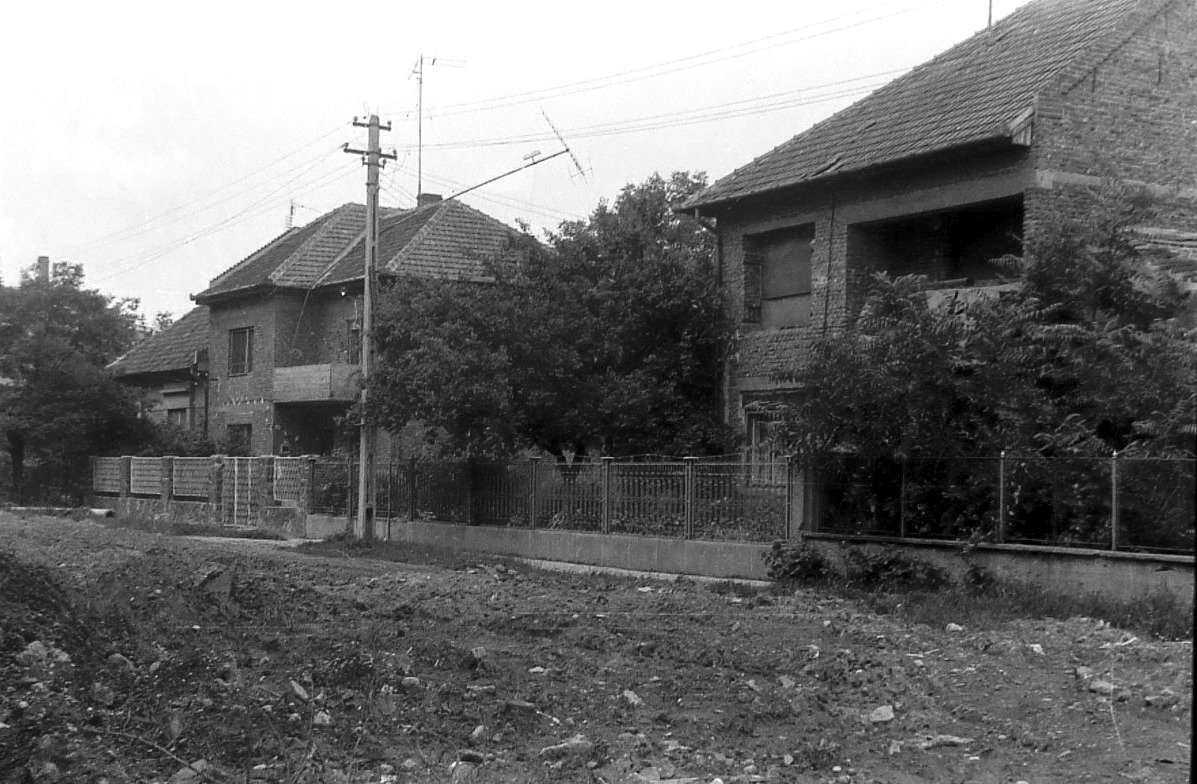 Imagine atasata: DSCF3228.jpg