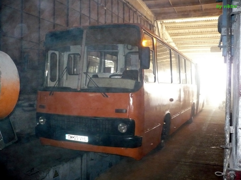 Imagine atasata: Ikarus.JPG